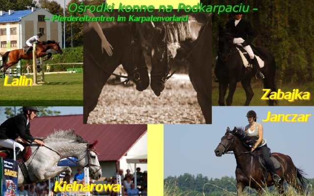 Comenius - plakaty uczniów